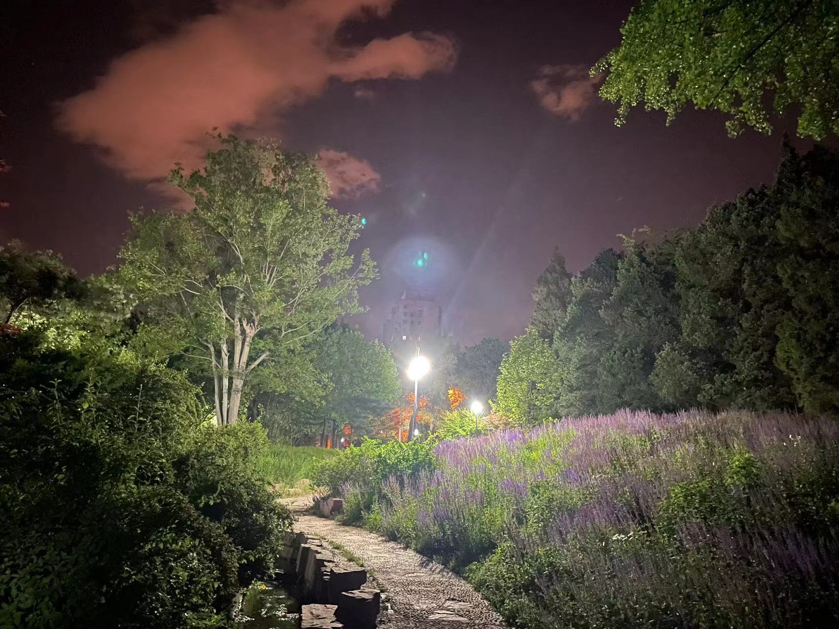 3ecf100de54443352ea1266b335381f