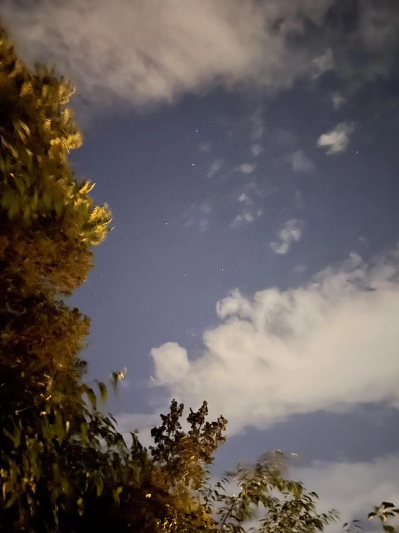 c79ca8ca82f9a216c924399f868f5bc